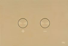 OLI Blink Pneumatic Flush Plate; {'Finish': 'White Gold'}; supplier brochure photograph