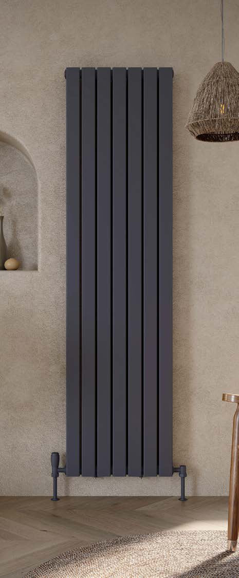 Bravo Vertical Double Radiator — genuine brochure model/range photograph